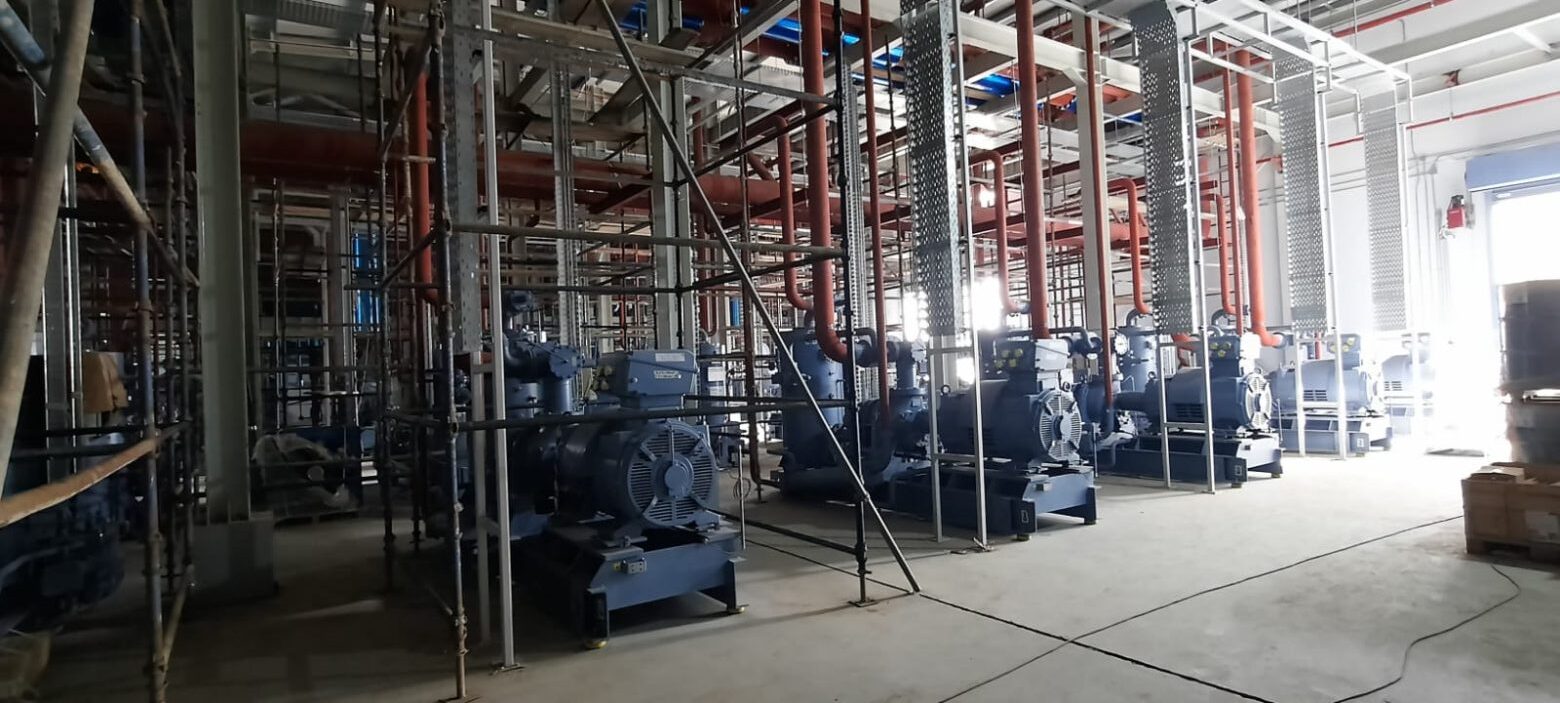 الوطنية للدجاج