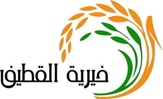 0-scaled-1-removebg-preview