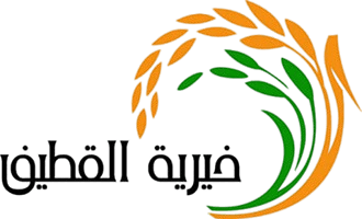 0-scaled-1-removebg-preview